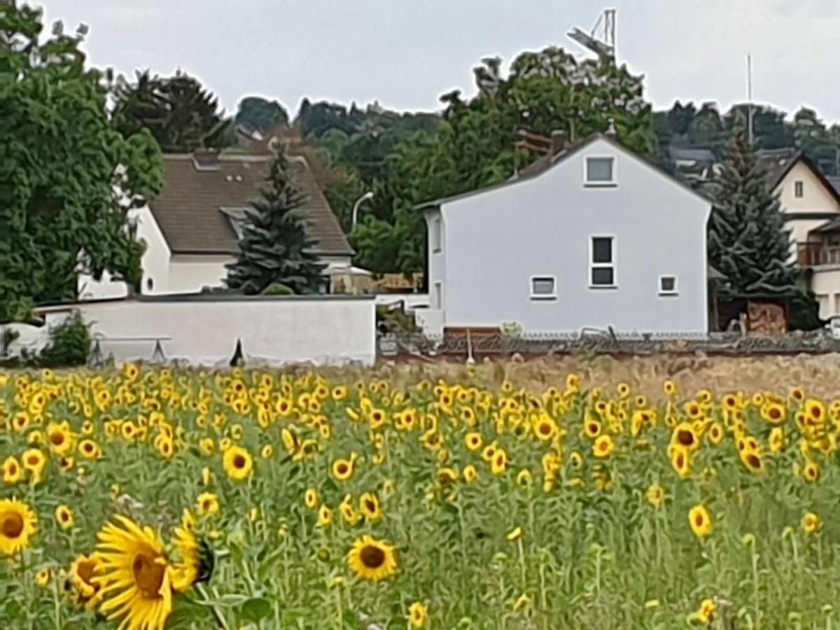 Haus Im Gruenen Villa Bornheim  Dış mekan fotoğraf