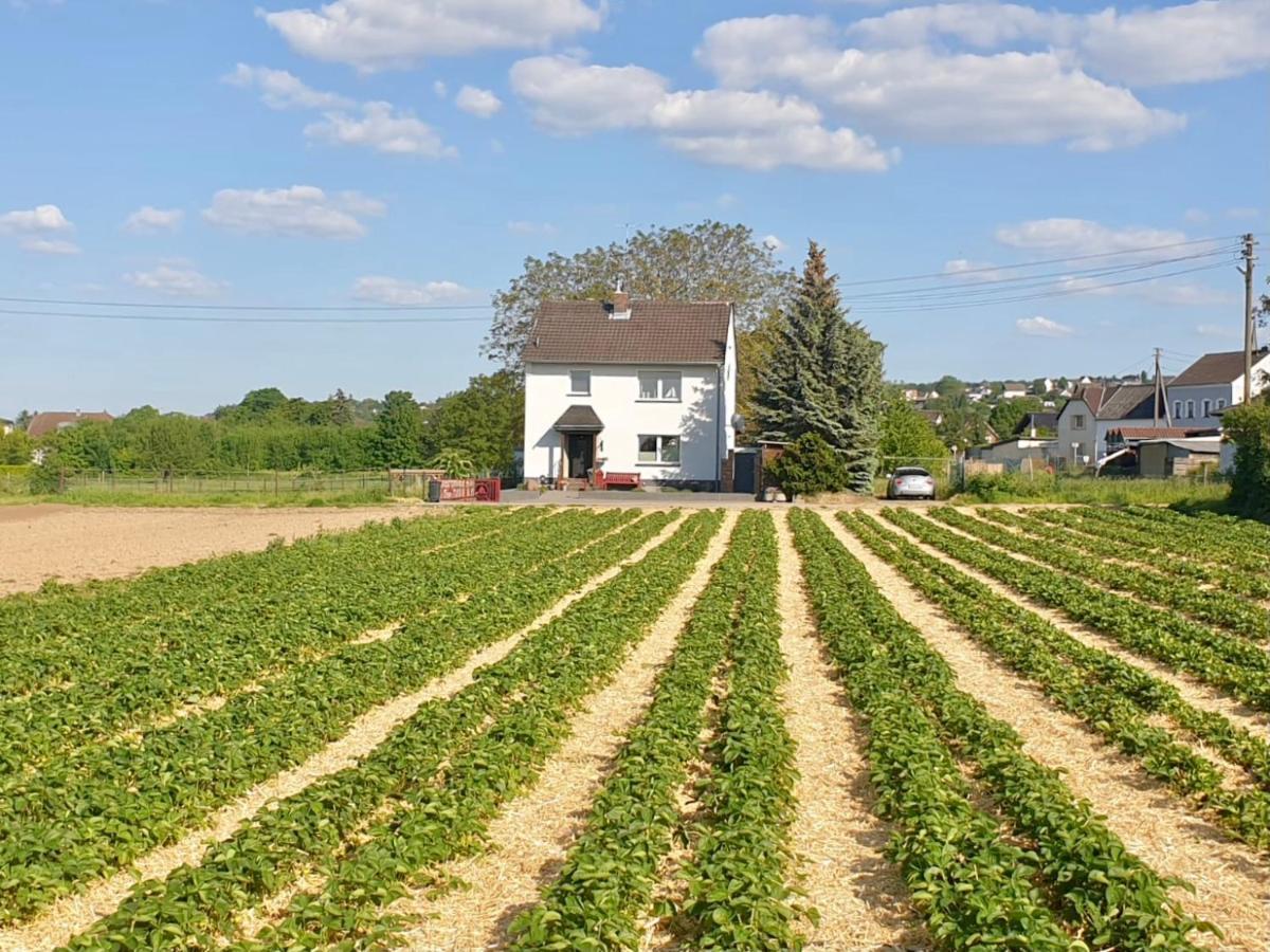 Haus Im Gruenen Villa Bornheim  Dış mekan fotoğraf
